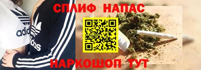 apvp Гагарин
