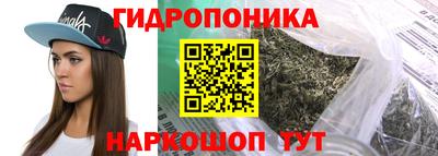 apvp Гагарин
