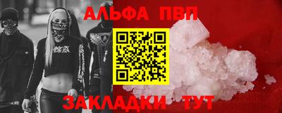 спиды Гатчина