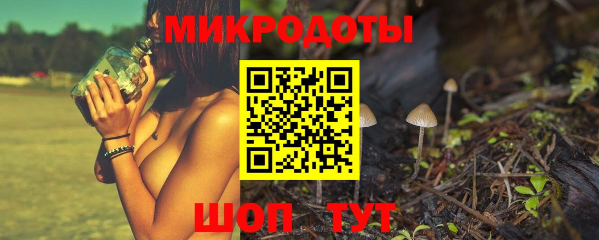 Псилоцибиновые грибы GOLDEN TEACHER Раменское